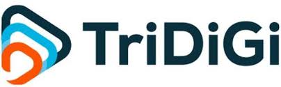 TriDiGi Logo